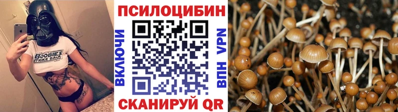 это клад Пятигорск Псилоцибиновые грибы мухоморы